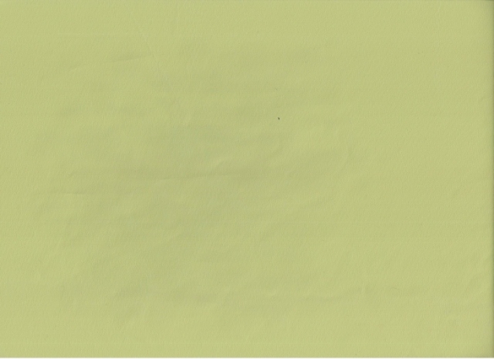 Lederimitat hellgrün (990069)